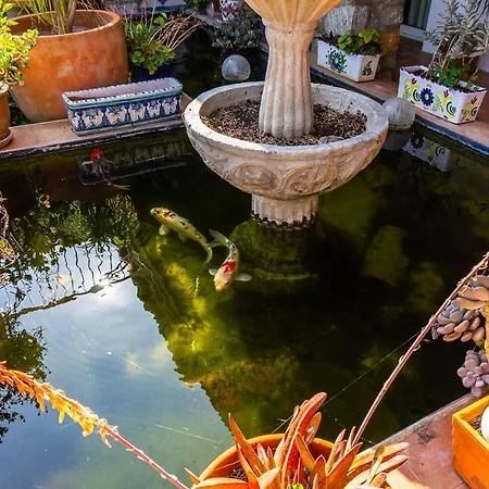 Finca Brisas Holiday home