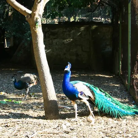 Holiday home Finca Brisas